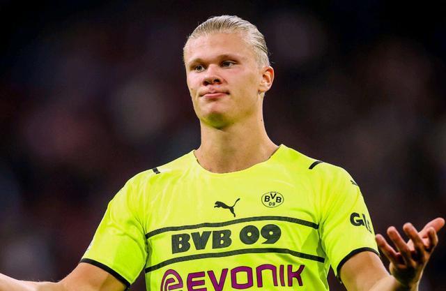 样本左右 样本左右